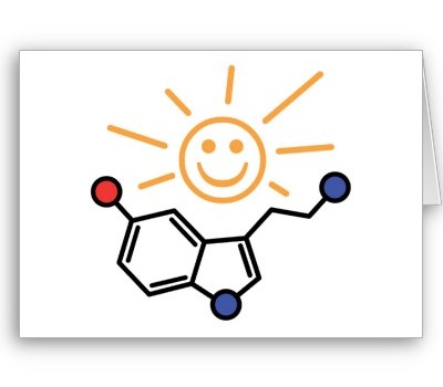 Serotonin-the-happiness-hormone